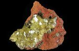 Gemmy, Yellow-Green Adamite Crystals - Durango, Mexico #65304-1